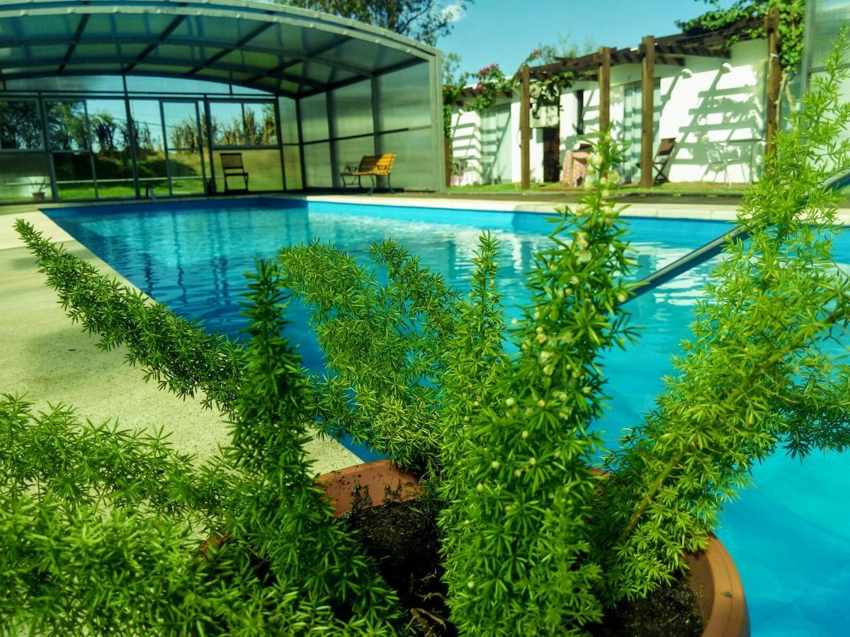 Hotel Complejo Juanjo Ramos Termas del Daymán Esterno foto